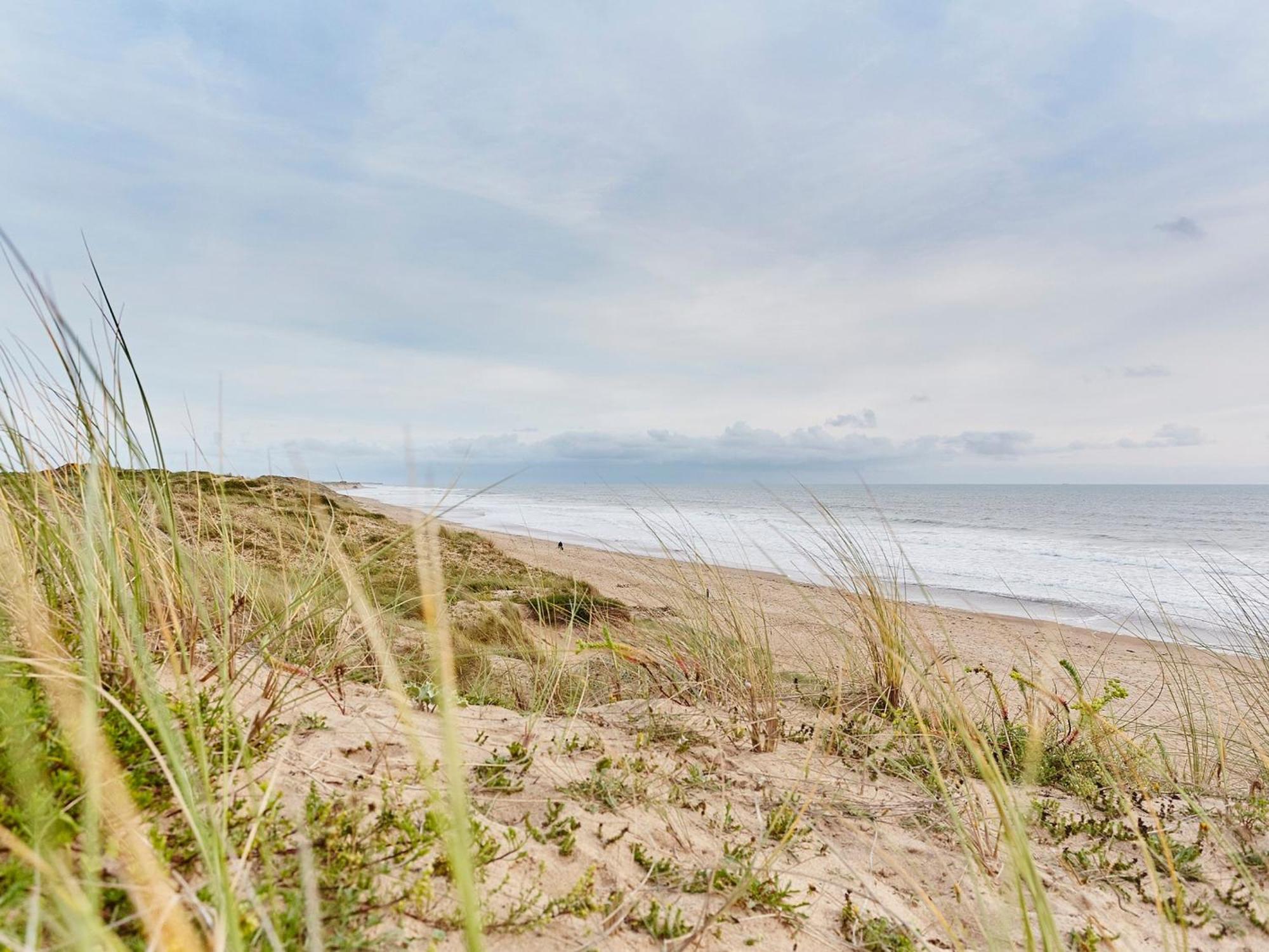 Apartment Cozy, 4 Pers, Centre-ville, Proche Plage Et Commerces - Fr-1-92-877 Les Sables-d'Olonne